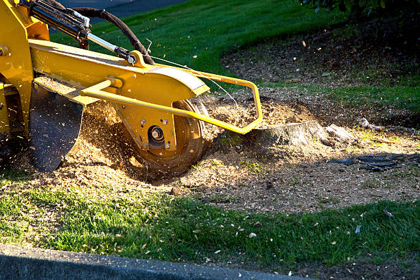 Lawn Irrigation Installation and Maintenance in Seffner, FL